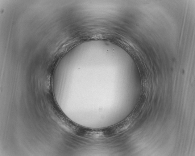 X0000088090554200706011606