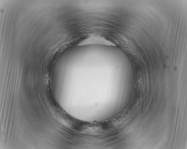 X0000088090555200706011606