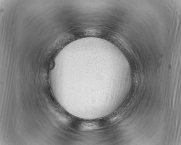 X0000088090557200706011606