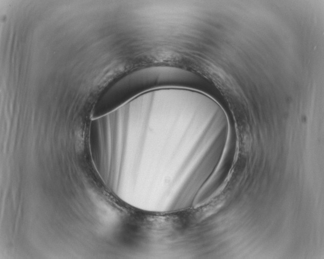 X0000088090558200706011606