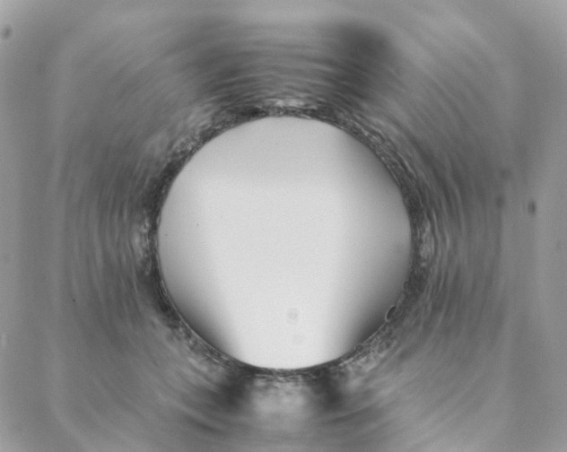 X0000088090559200706011606