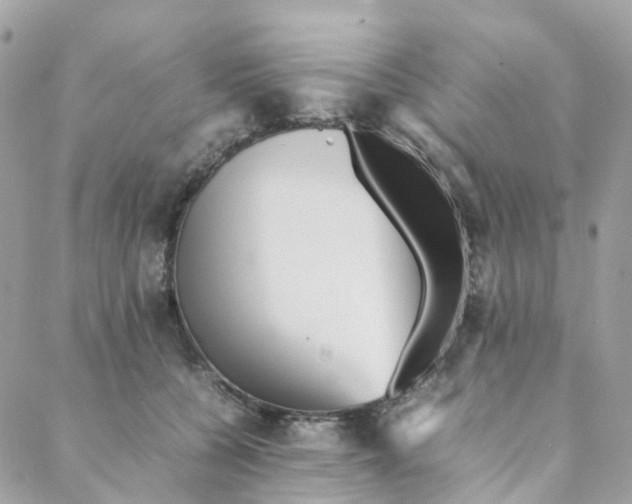 X0000088090560200706011606