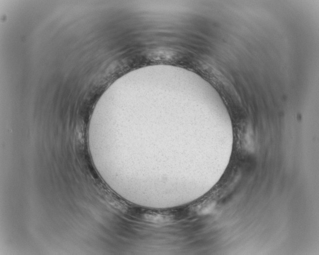 X0000088090561200706011607