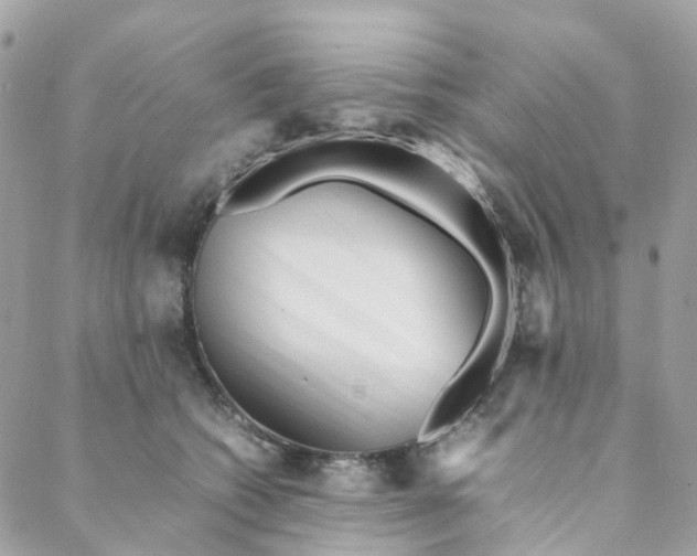 X0000088090562200706011607