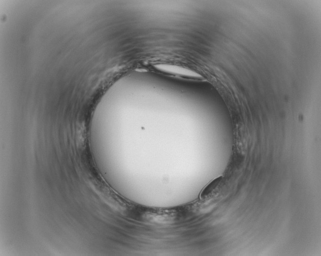 X0000088090563200706011607