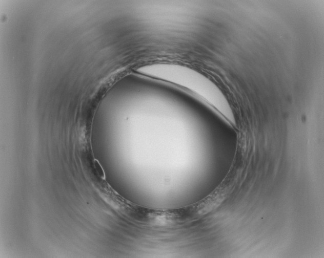 X0000088090564200706011607