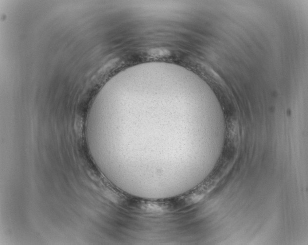 X0000088090565200706011607