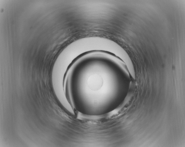 X0000088090566200706011607