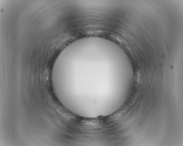 X0000088090567200706011607