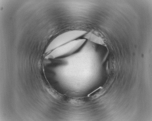 X0000088090568200706011607