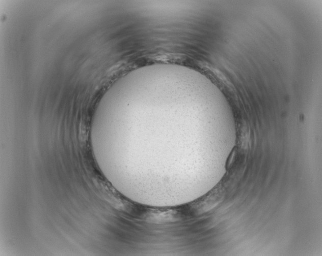 X0000088090569200706011607