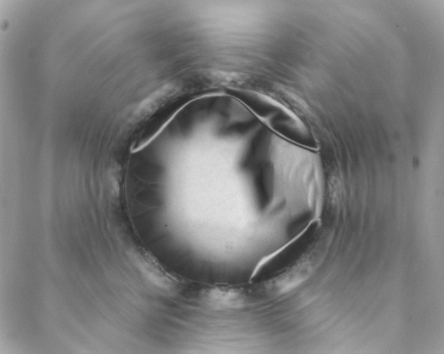 X0000088090570200706011607