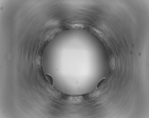 X0000088090571200706011607