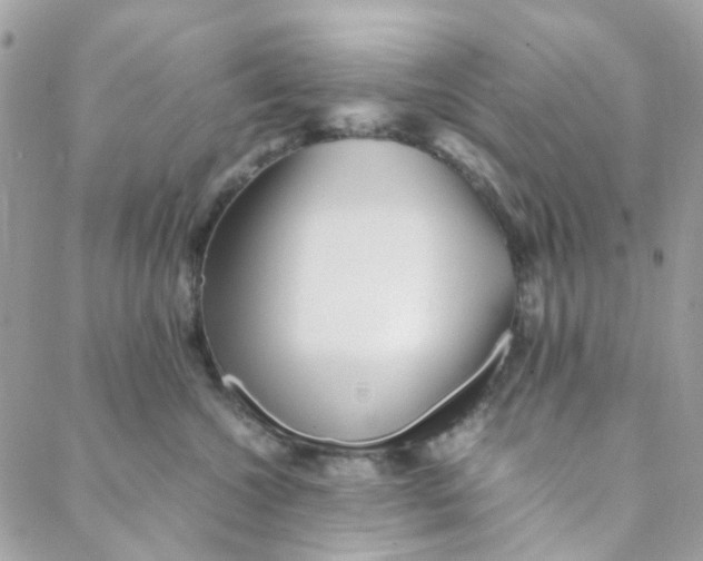 X0000088090572200706011607