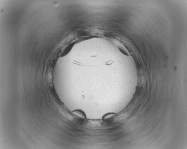 X0000088090573200706011607