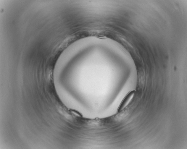 X0000088090574200706011607