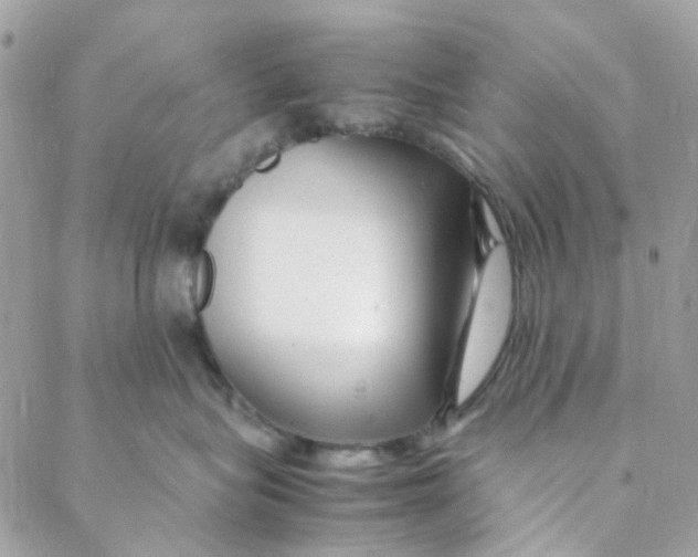 X0000088090575200706011607