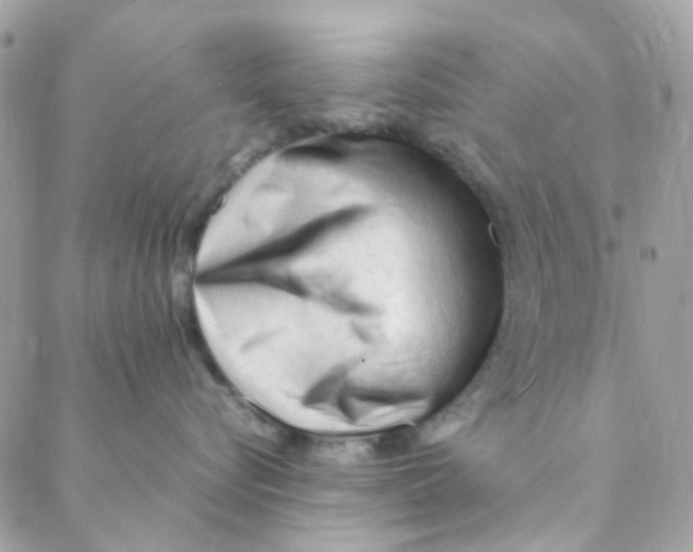 X0000088090576200706011607