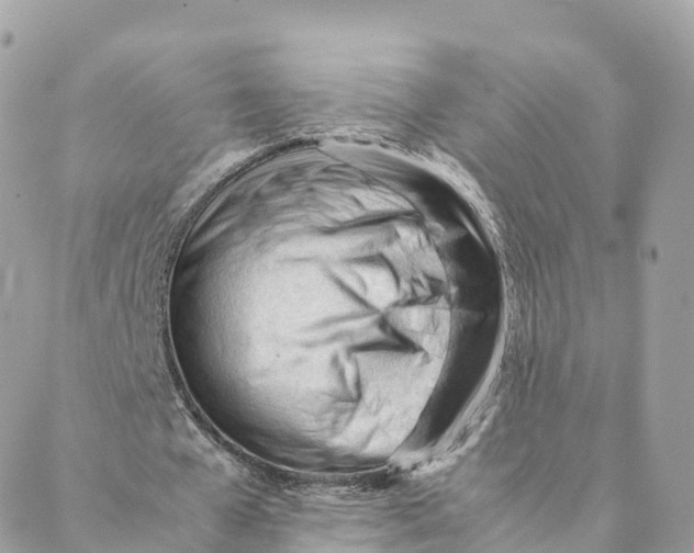 X0000088090577200706011606