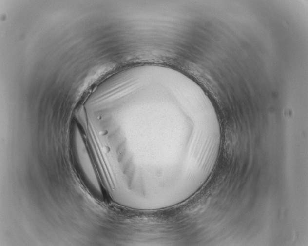 X0000088090578200706011606