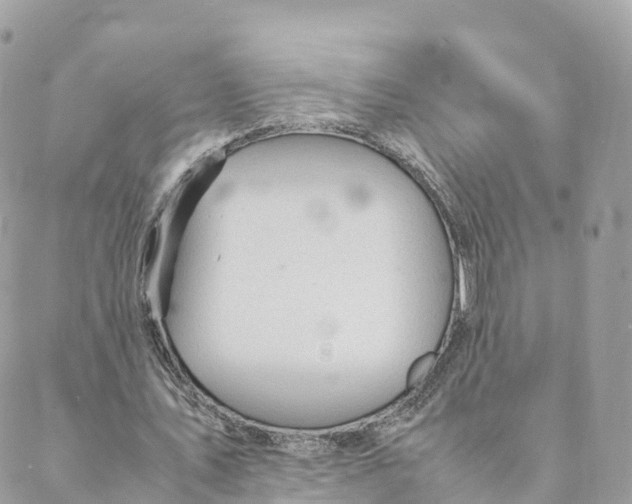 X0000088090579200706011606