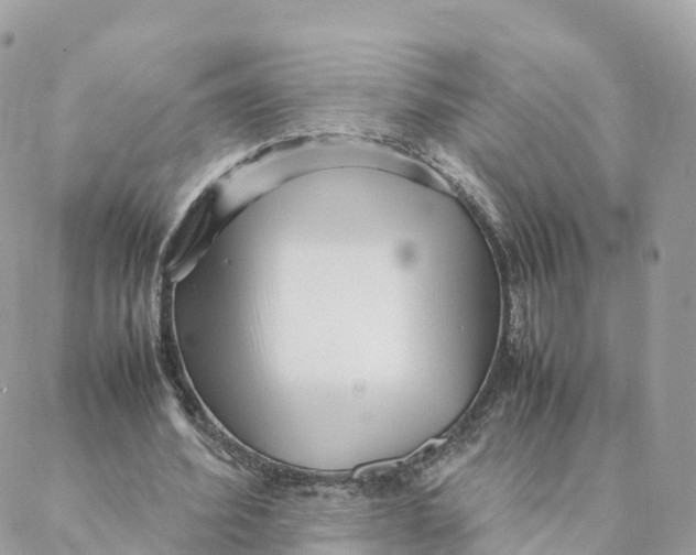 X0000088090580200706011606