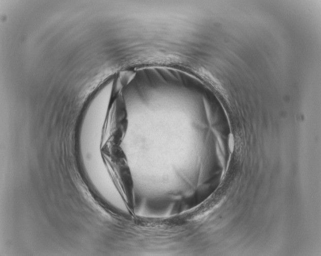 X0000088090581200706011606