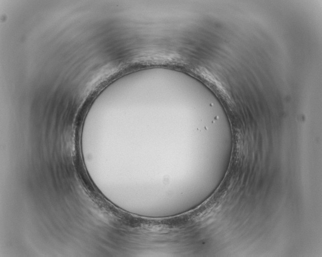 X0000088090582200706011606