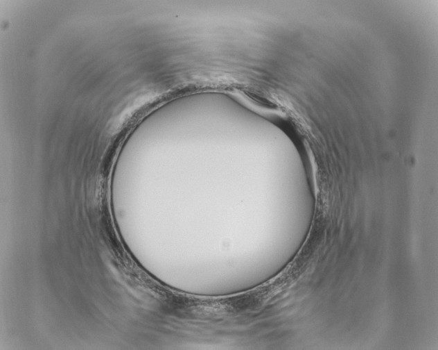 X0000088090583200706011606