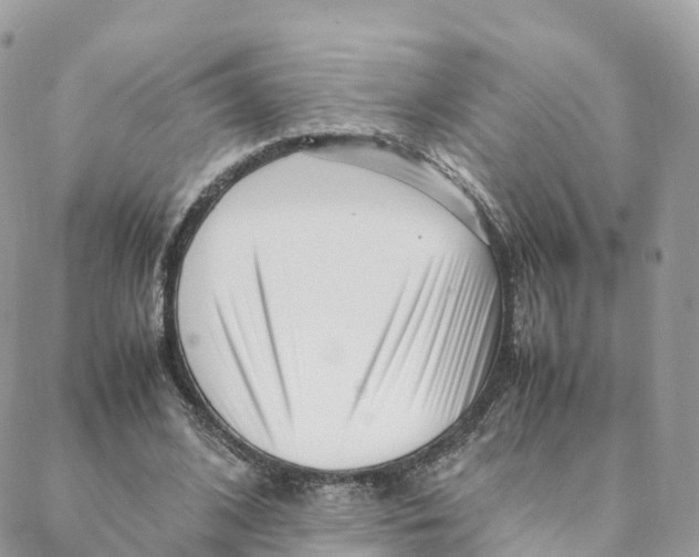 X0000088090584200706011606