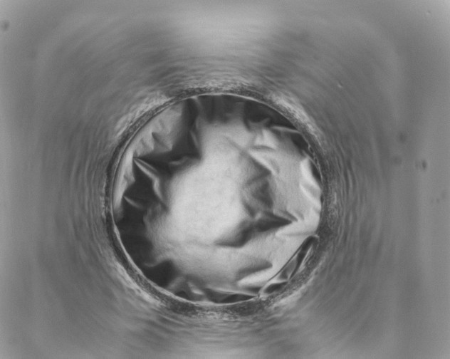 X0000088090585200706011606