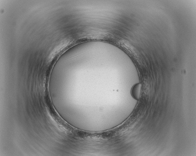 X0000088090586200706011606