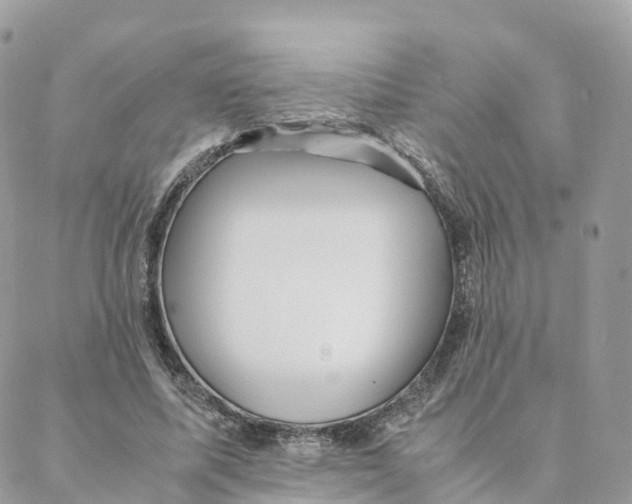 X0000088090587200706011606