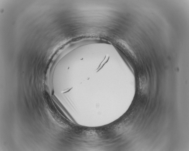 X0000088090588200706011606