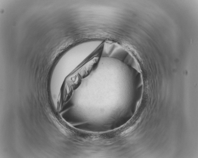 X0000088090589200706011606