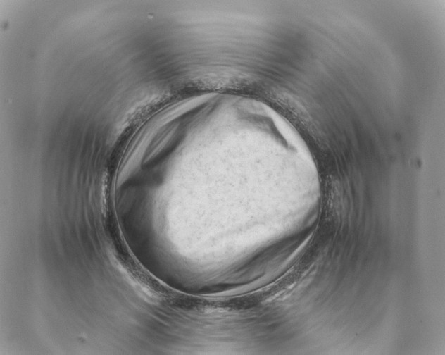 X0000088090590200706011606