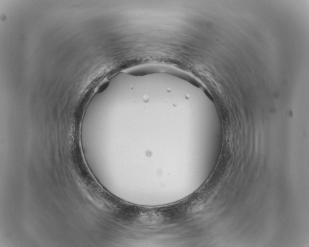 X0000088090591200706011606