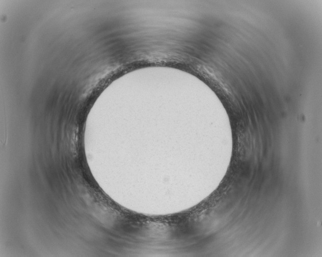 X0000088090592200706011606