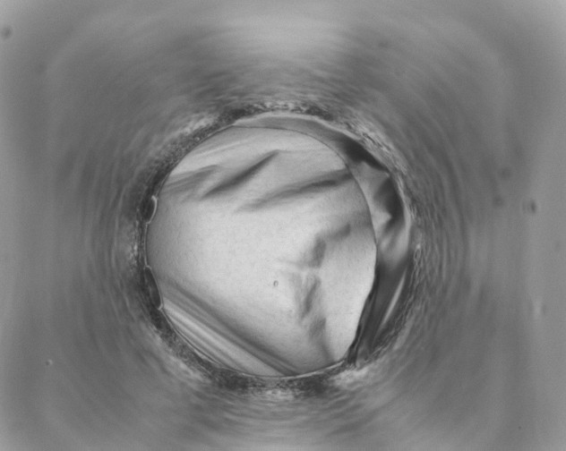 X0000088090593200706011606