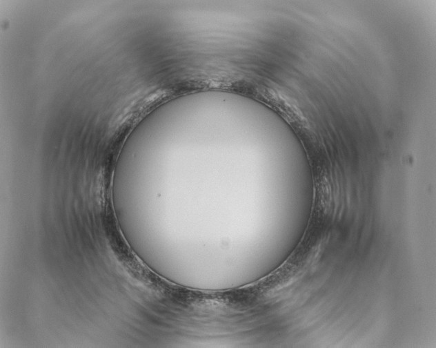 X0000088090594200706011606