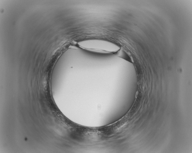 X0000088090595200706011606