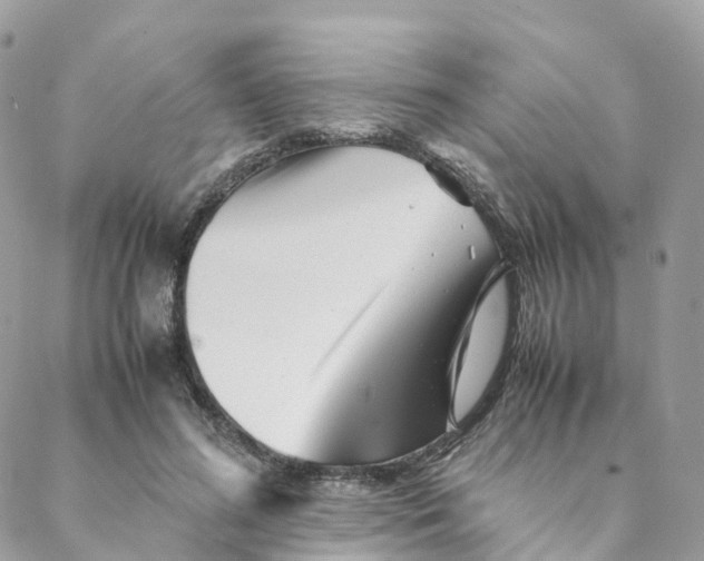 X0000088090596200706011606