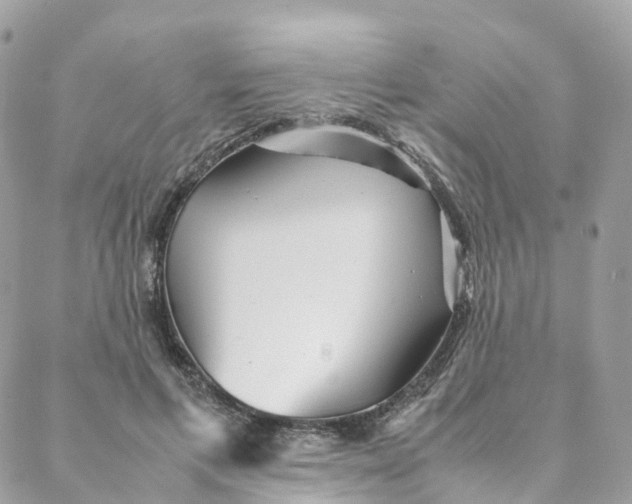 X0000088090597200706011606