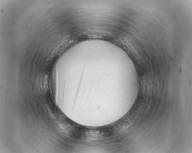 X0000088090598200706011606