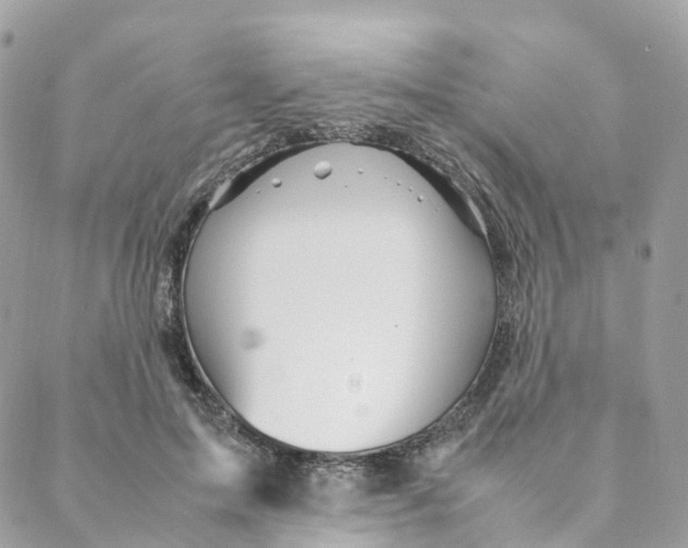 X0000088090599200706011606