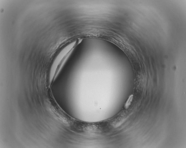 X0000088090600200706011606