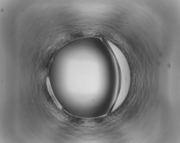 X0000088090601200706011606