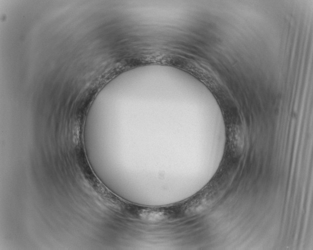 X0000088090602200706011606