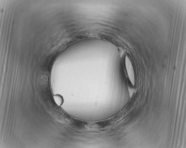 X0000088090603200706011606