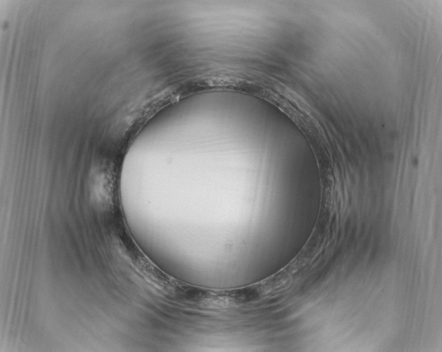 X0000088090604200706011606